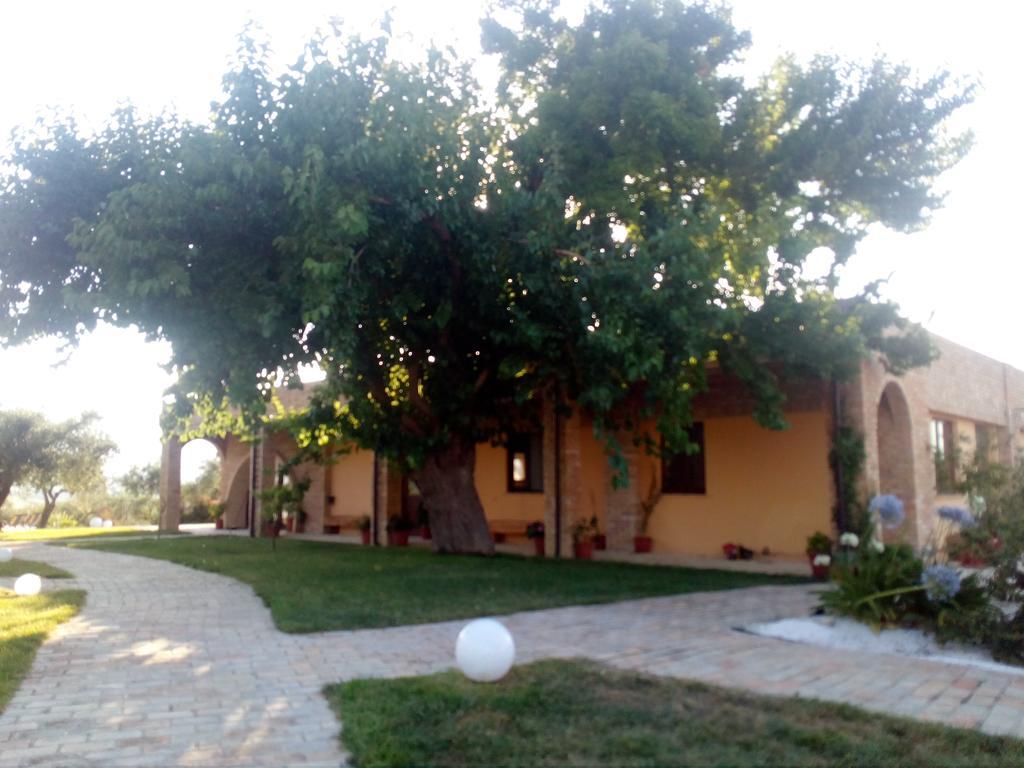 Agriturismo Piccolo Albero Loreto Aprutino Eksteriør bilde